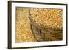 Dried Corn in Basket, Otavalo Handicraft Market, Quito, Ecuador-Cindy Miller Hopkins-Framed Photographic Print