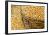 Dried Corn in Basket, Otavalo Handicraft Market, Quito, Ecuador-Cindy Miller Hopkins-Framed Photographic Print