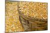 Dried Corn in Basket, Otavalo Handicraft Market, Quito, Ecuador-Cindy Miller Hopkins-Mounted Photographic Print