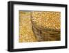 Dried Corn in Basket, Otavalo Handicraft Market, Quito, Ecuador-Cindy Miller Hopkins-Framed Photographic Print