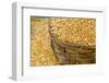 Dried Corn in Basket, Otavalo Handicraft Market, Quito, Ecuador-Cindy Miller Hopkins-Framed Photographic Print