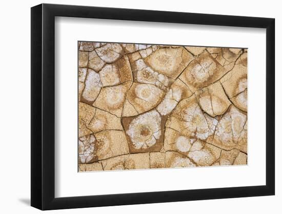 Dried, cracked earth and salt create the patterns on the flats of Death Valley National Park.-Mallorie Ostrowitz-Framed Photographic Print