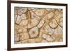 Dried, cracked earth and salt create the patterns on the flats of Death Valley National Park.-Mallorie Ostrowitz-Framed Photographic Print