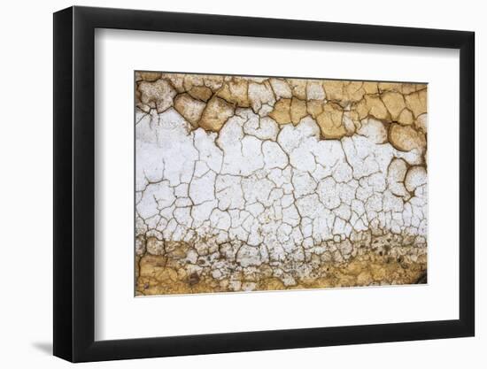 Dried Earth Covered with Salt in Death Valley National Park-Mallorie Ostrowitz-Framed Photographic Print