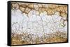 Dried Earth Covered with Salt in Death Valley National Park-Mallorie Ostrowitz-Framed Stretched Canvas