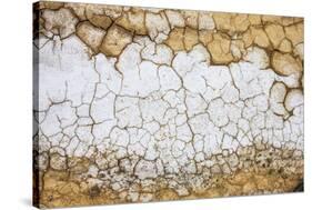 Dried Earth Covered with Salt in Death Valley National Park-Mallorie Ostrowitz-Stretched Canvas