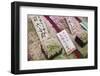 Dried Fish at Nishiki-Koji Market-Jon Hicks-Framed Photographic Print