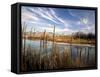 Dried Flower Heads along Slough, Flood Plain of Logan River, Great Basin, Cache Valley, Utah, USA-Scott T. Smith-Framed Stretched Canvas