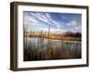 Dried Flower Heads along Slough, Flood Plain of Logan River, Great Basin, Cache Valley, Utah, USA-Scott T. Smith-Framed Photographic Print