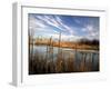 Dried Flower Heads along Slough, Flood Plain of Logan River, Great Basin, Cache Valley, Utah, USA-Scott T. Smith-Framed Photographic Print