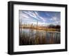 Dried Flower Heads along Slough, Flood Plain of Logan River, Great Basin, Cache Valley, Utah, USA-Scott T. Smith-Framed Photographic Print