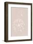 Dried Flower Pink-1x Studio III-Framed Photographic Print