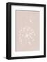 Dried Flower Pink-1x Studio III-Framed Photographic Print