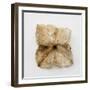 Dried Flower-Clive Nolan-Framed Photographic Print
