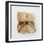 Dried Flower-Clive Nolan-Framed Photographic Print