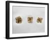 Dried Flower-Clive Nolan-Framed Photographic Print