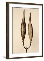 Dried Flowers-Torsten Richter-Framed Photographic Print