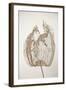 Dried Flowers-Torsten Richter-Framed Photographic Print