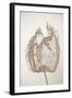 Dried Flowers-Torsten Richter-Framed Photographic Print