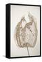 Dried Flowers-Torsten Richter-Framed Stretched Canvas