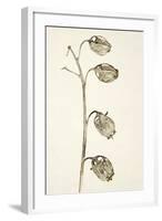 Dried Flowers-Torsten Richter-Framed Photographic Print