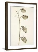 Dried Flowers-Torsten Richter-Framed Photographic Print