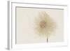 Dried Flowers-Torsten Richter-Framed Photographic Print