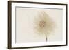 Dried Flowers-Torsten Richter-Framed Photographic Print