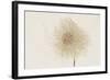 Dried Flowers-Torsten Richter-Framed Photographic Print