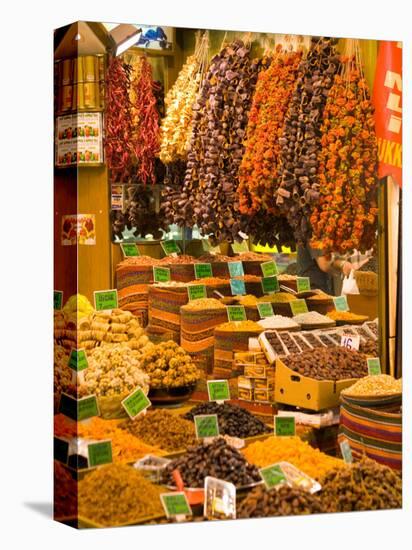 Dried Fruit and Spices for Sale, Spice Market, Istanbul, Turkey-Darrell Gulin-Stretched Canvas