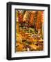 Dried Fruit and Spices for Sale, Spice Market, Istanbul, Turkey-Darrell Gulin-Framed Photographic Print