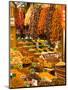 Dried Fruit and Spices for Sale, Spice Market, Istanbul, Turkey-Darrell Gulin-Mounted Photographic Print
