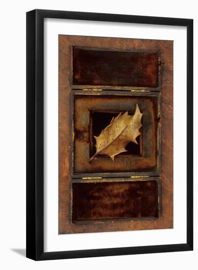 Dried Holly Leaf-Den Reader-Framed Premium Photographic Print