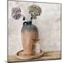 Dried Hydrangeas-Kimberly Allen-Mounted Art Print