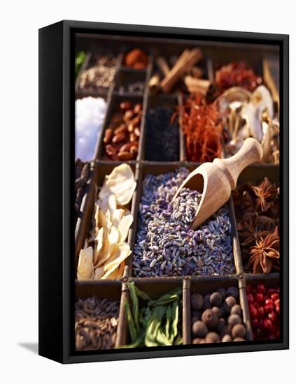 Dried Lavender Flowers with Various Spices in a Seedling Tray-Oliver Brachat-Framed Stretched Canvas