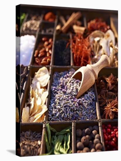 Dried Lavender Flowers with Various Spices in a Seedling Tray-Oliver Brachat-Stretched Canvas