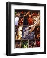 Dried Lavender Flowers with Various Spices in a Seedling Tray-Oliver Brachat-Framed Premium Photographic Print