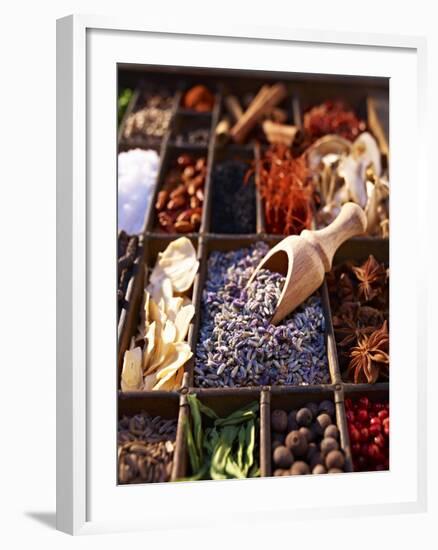 Dried Lavender Flowers with Various Spices in a Seedling Tray-Oliver Brachat-Framed Photographic Print