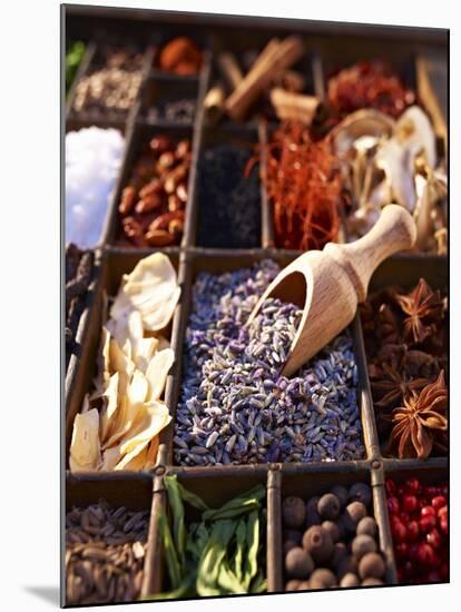 Dried Lavender Flowers with Various Spices in a Seedling Tray-Oliver Brachat-Mounted Photographic Print