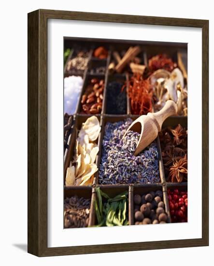 Dried Lavender Flowers with Various Spices in a Seedling Tray-Oliver Brachat-Framed Photographic Print