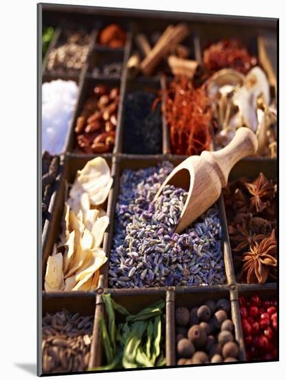 Dried Lavender Flowers with Various Spices in a Seedling Tray-Oliver Brachat-Mounted Photographic Print