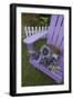 Dried Lavender on Purple Chair at Lavender Festival, Sequim, Washington, USA-Merrill Images-Framed Photographic Print