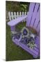 Dried Lavender on Purple Chair at Lavender Festival, Sequim, Washington, USA-Merrill Images-Mounted Photographic Print