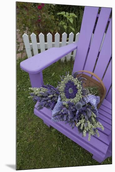 Dried Lavender on Purple Chair at Lavender Festival, Sequim, Washington, USA-Merrill Images-Mounted Premium Photographic Print