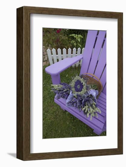 Dried Lavender on Purple Chair at Lavender Festival, Sequim, Washington, USA-Merrill Images-Framed Photographic Print