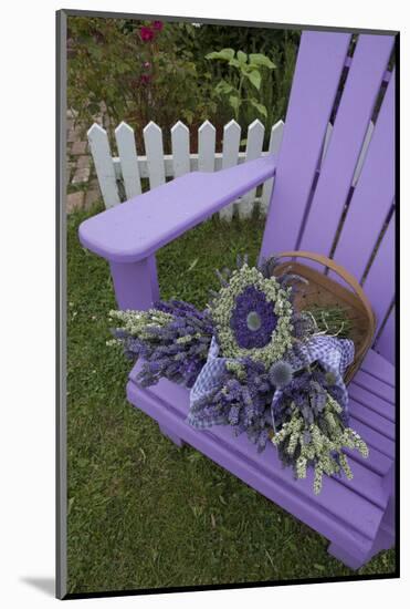 Dried Lavender on Purple Chair at Lavender Festival, Sequim, Washington, USA-Merrill Images-Mounted Photographic Print