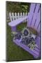 Dried Lavender on Purple Chair at Lavender Festival, Sequim, Washington, USA-Merrill Images-Mounted Photographic Print