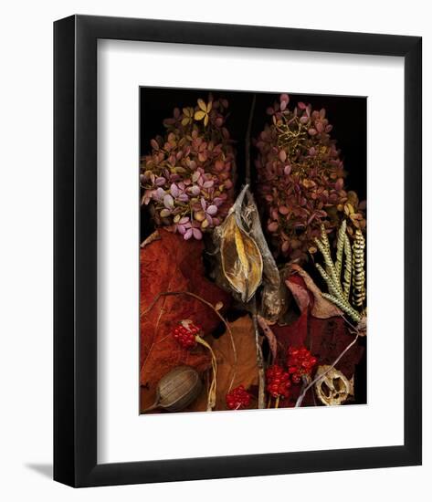 Dried Leaves hydrangea-null-Framed Art Print