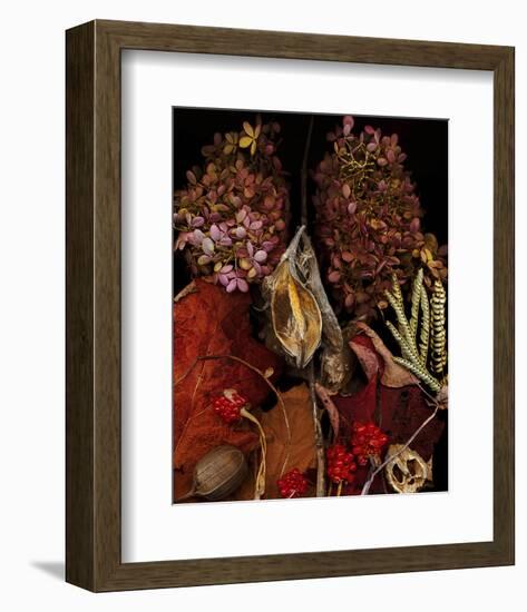 Dried Leaves hydrangea-null-Framed Art Print