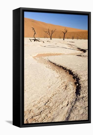 Dried Mud Pan with Ancient Camelthorn Trees and Orange Sand Dunes in the Distance-Lee Frost-Framed Stretched Canvas